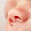 Infobox - Anatomie der Nase bei Kindern