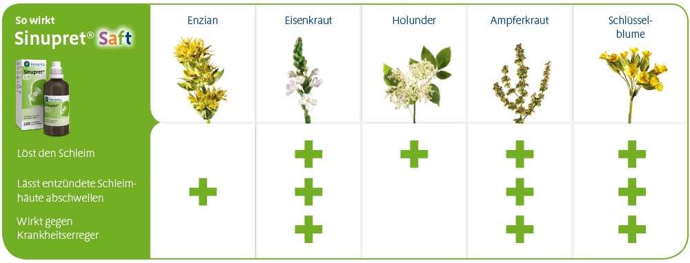 Wirktabelle von Sinupret Saft